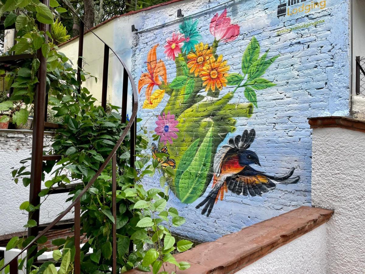 Mi Zona Lodging Coyoacan メキシコシティ エクステリア 写真