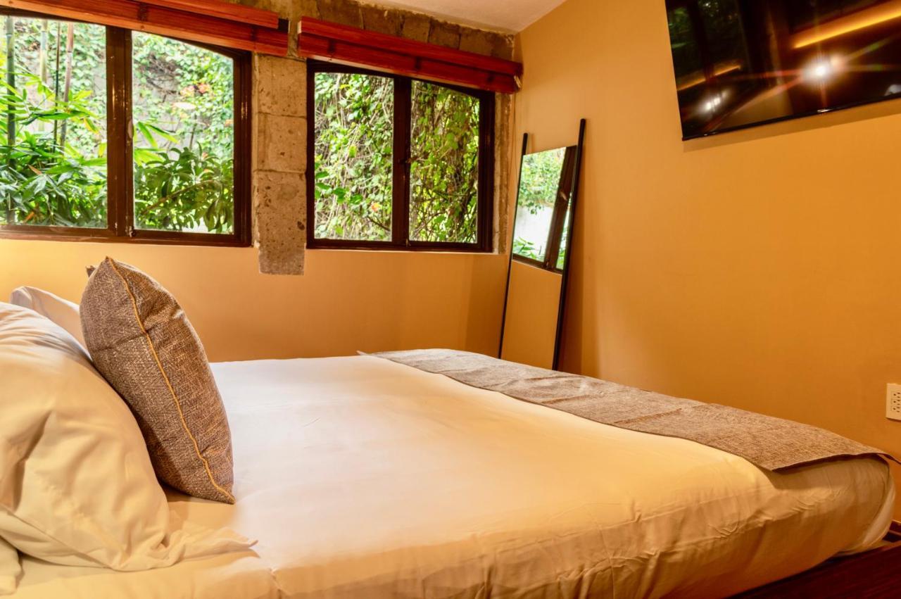 Mi Zona Lodging Coyoacan メキシコシティ エクステリア 写真
