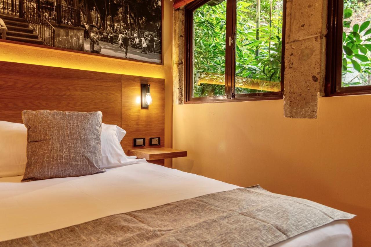 Mi Zona Lodging Coyoacan メキシコシティ エクステリア 写真