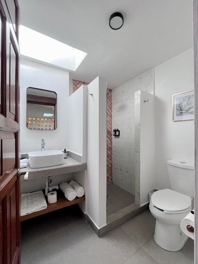 Mi Zona Lodging Coyoacan メキシコシティ エクステリア 写真